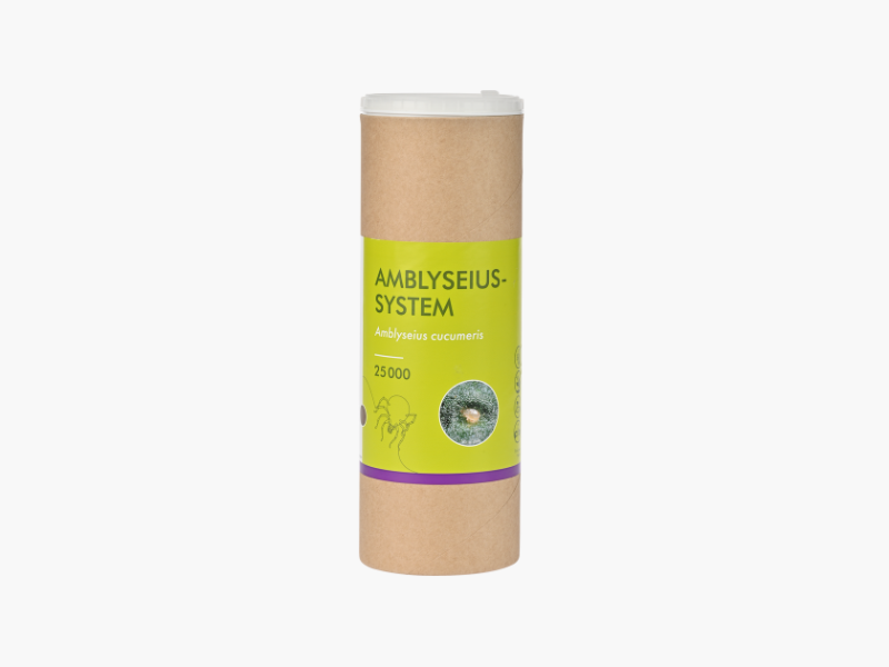 Amblyseius-System 25000
