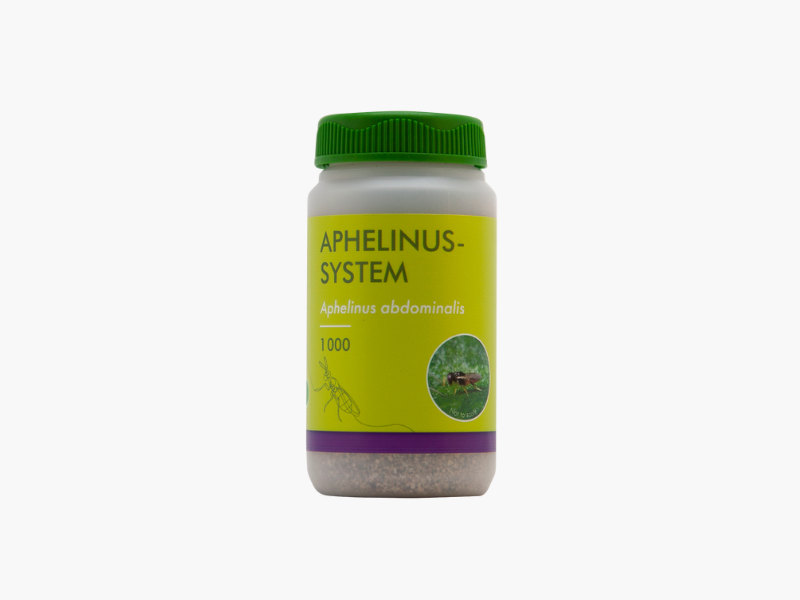 Aphelinus-system 1000