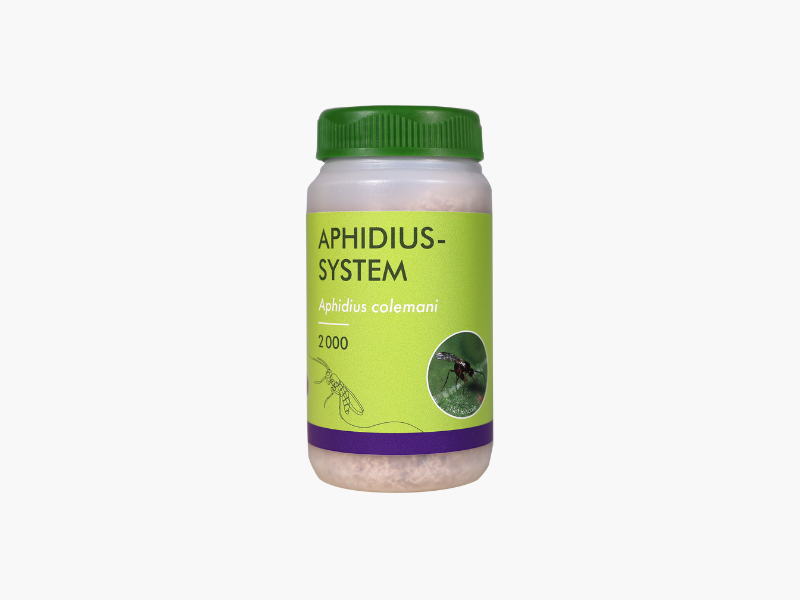 Aphidius-System 2000