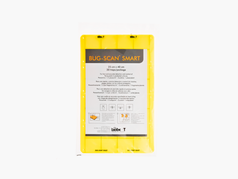 Bug-Scan® Smart Yellow