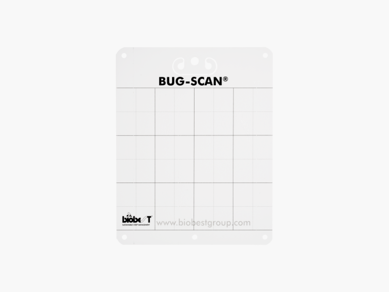 Bug-Scan® White large