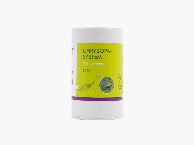 Chrysopa-System 1.000