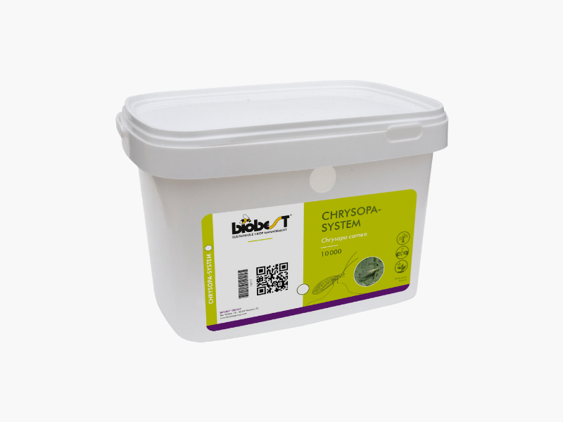 Chrysopa-System 10.000