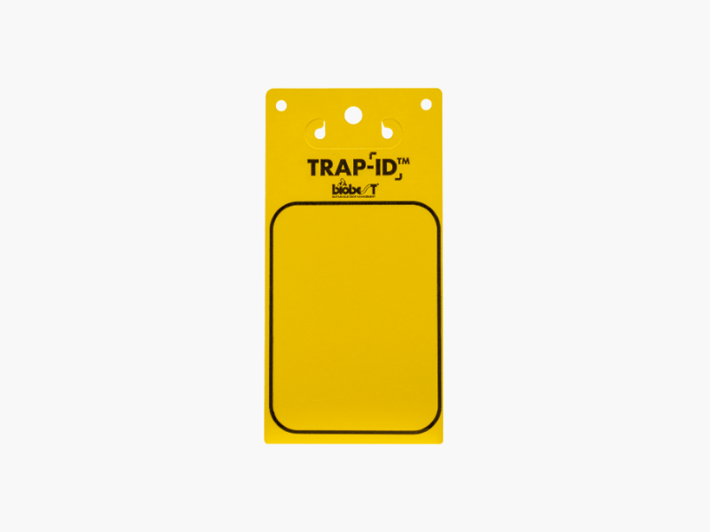 Trap-ID™ Yellow