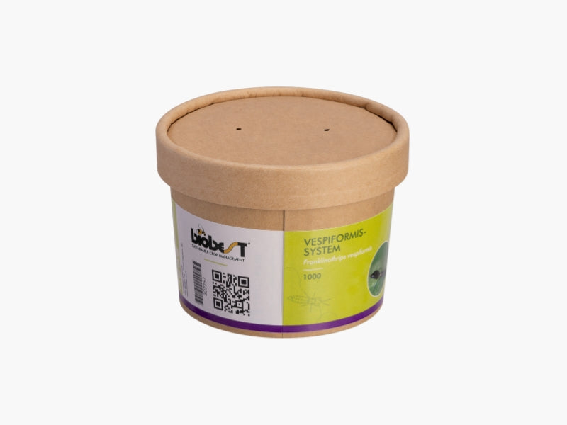 Vespiformis-System 1000